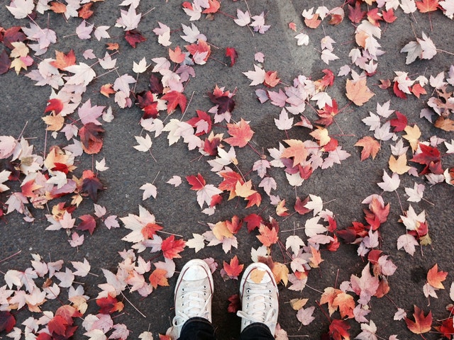 Renouer le dialogue grâce à la mindfulness en action