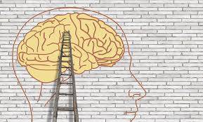 formation et coaching pour entreprise, intelligence intentionnelle