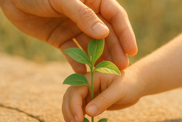 traumas de développement